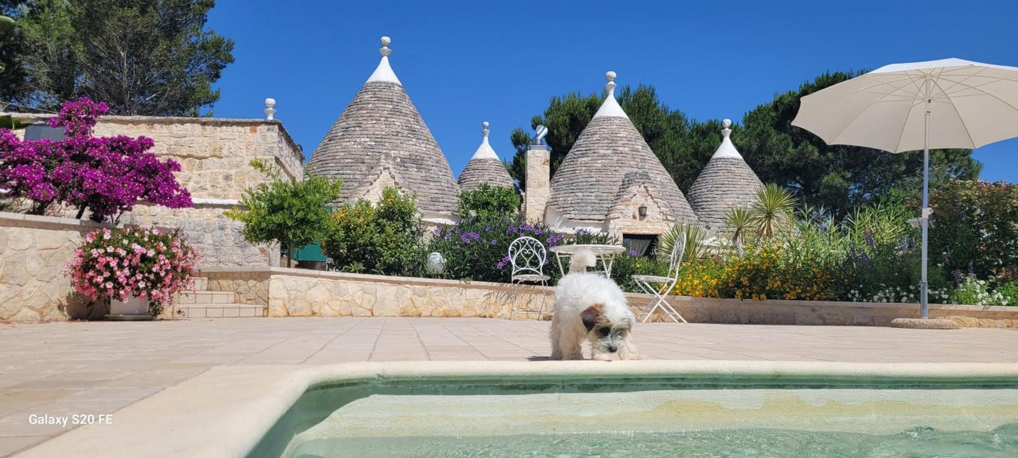 Trullo Bosco Libero Ostuni Villa Eksteriør bilde