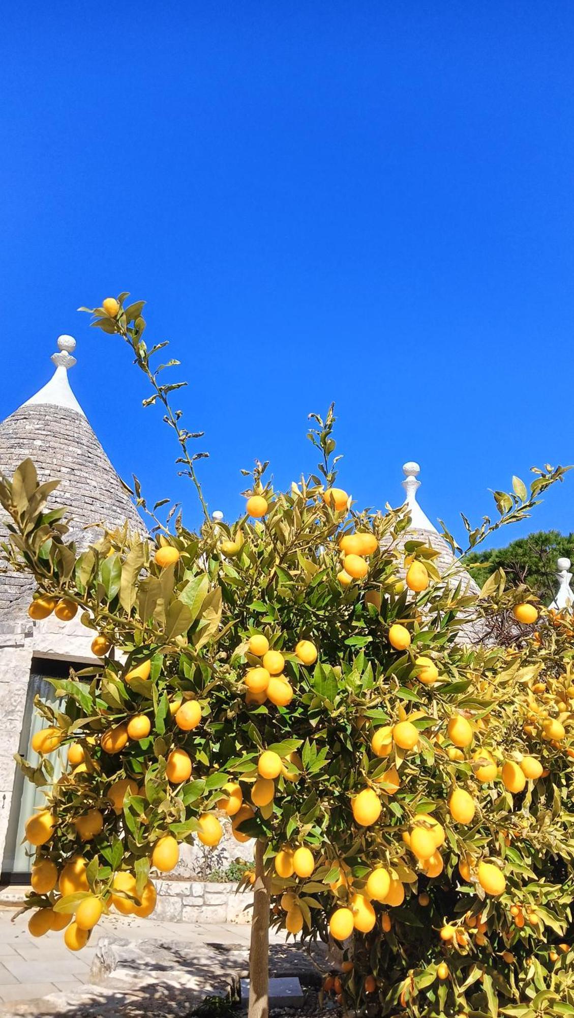 Trullo Bosco Libero Ostuni Villa Eksteriør bilde