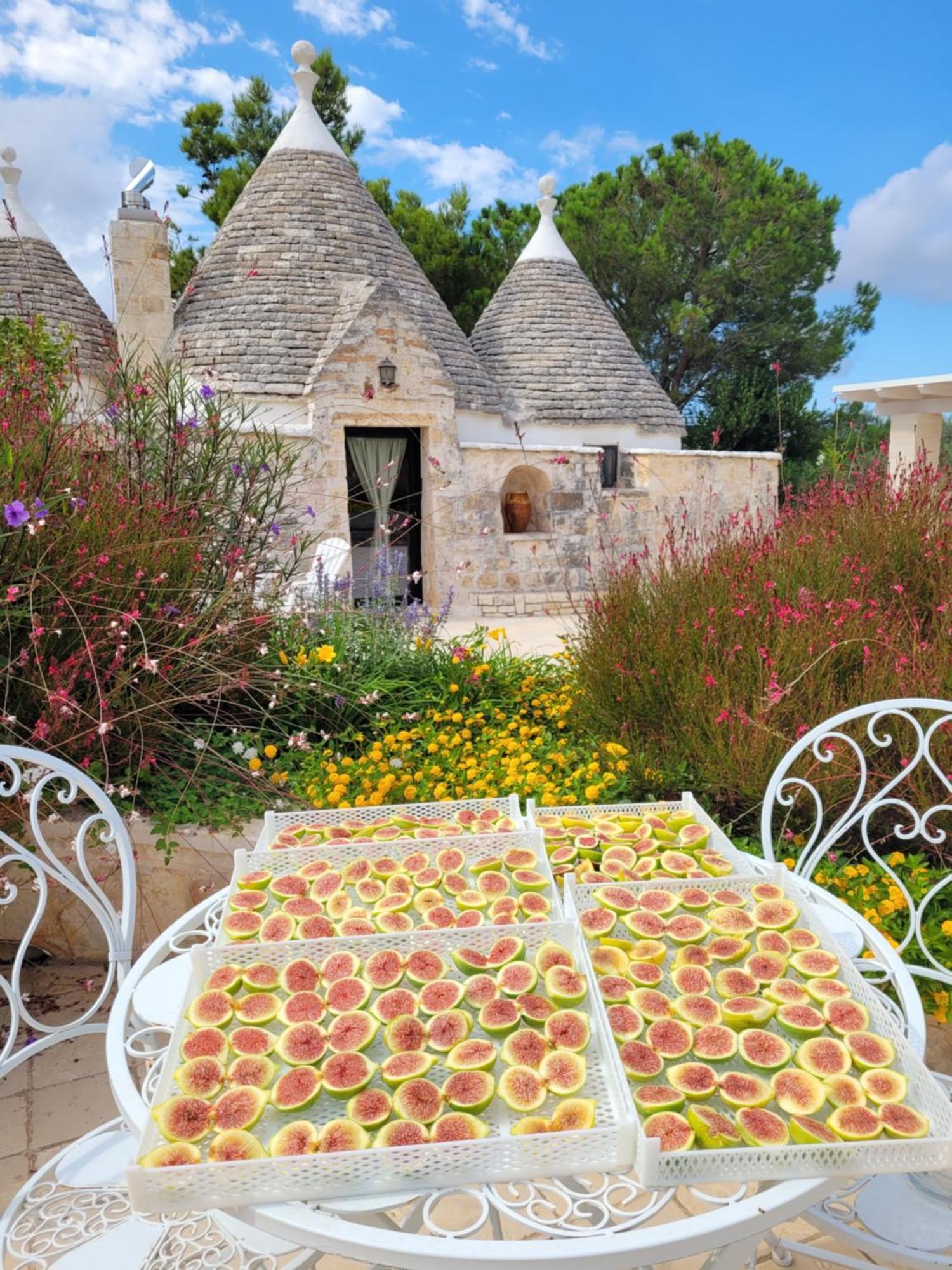 Trullo Bosco Libero Ostuni Villa Eksteriør bilde