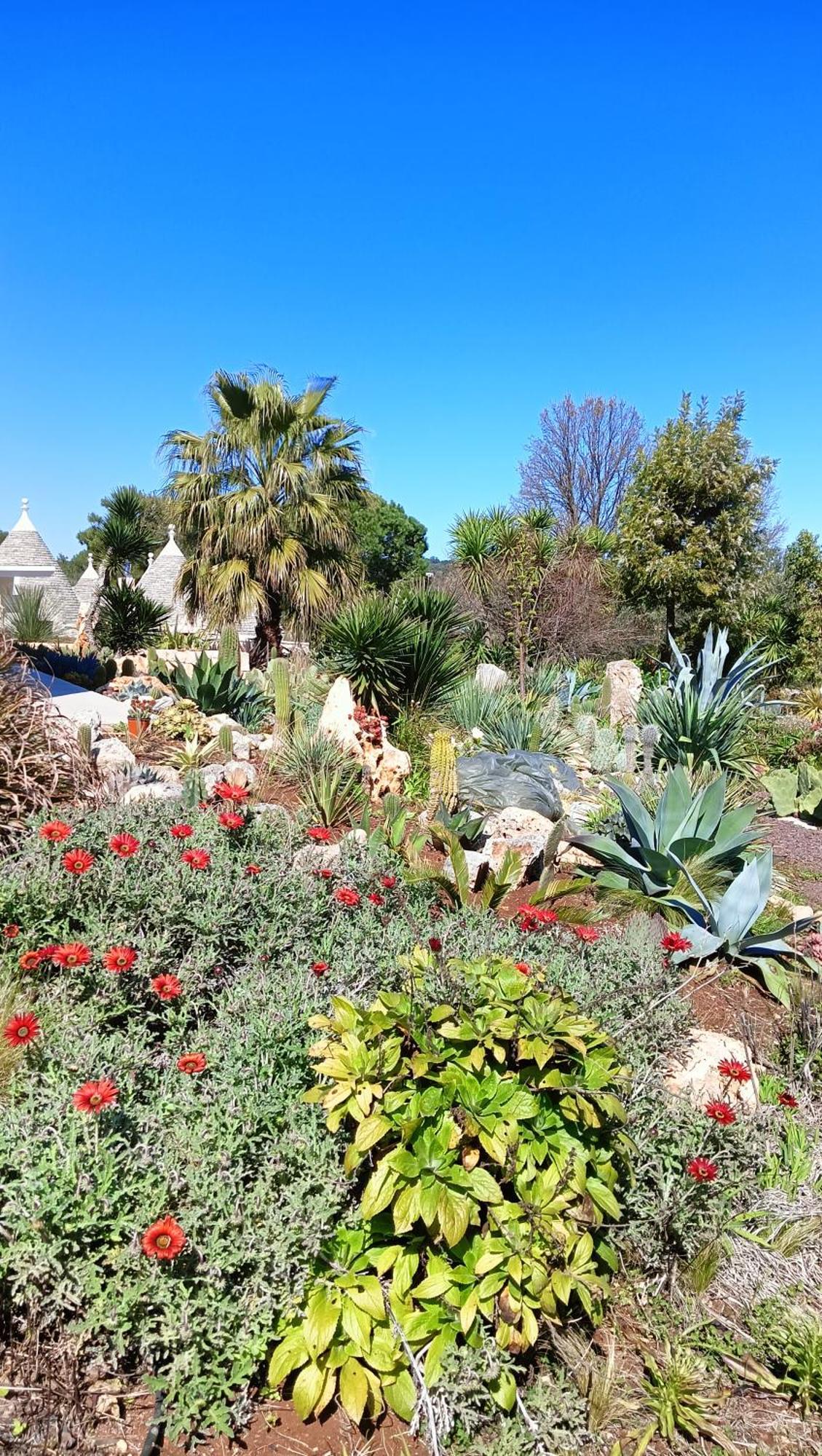 Trullo Bosco Libero Ostuni Villa Eksteriør bilde