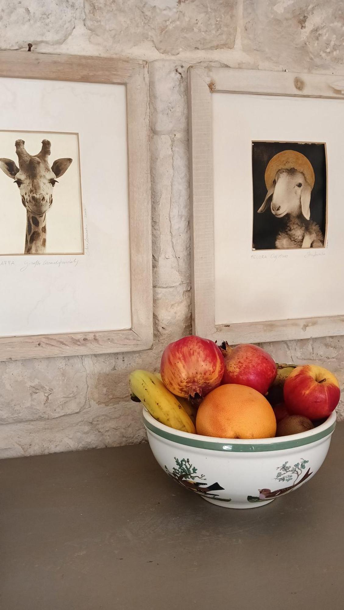 Trullo Bosco Libero Ostuni Villa Eksteriør bilde